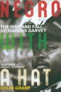 Cover image for Negro With a Hat