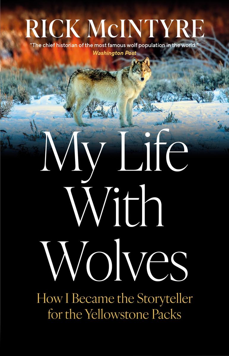 My Life With Wolves by Rick McIntyre | Munro's Books
