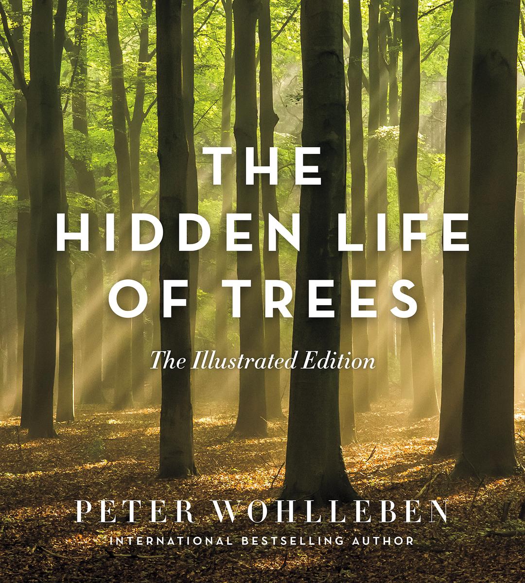 Peter Wohlleben 洋書 3冊セット Peter Wohlleben 洋書 3冊セット The Hidden Life of Trees by Peter