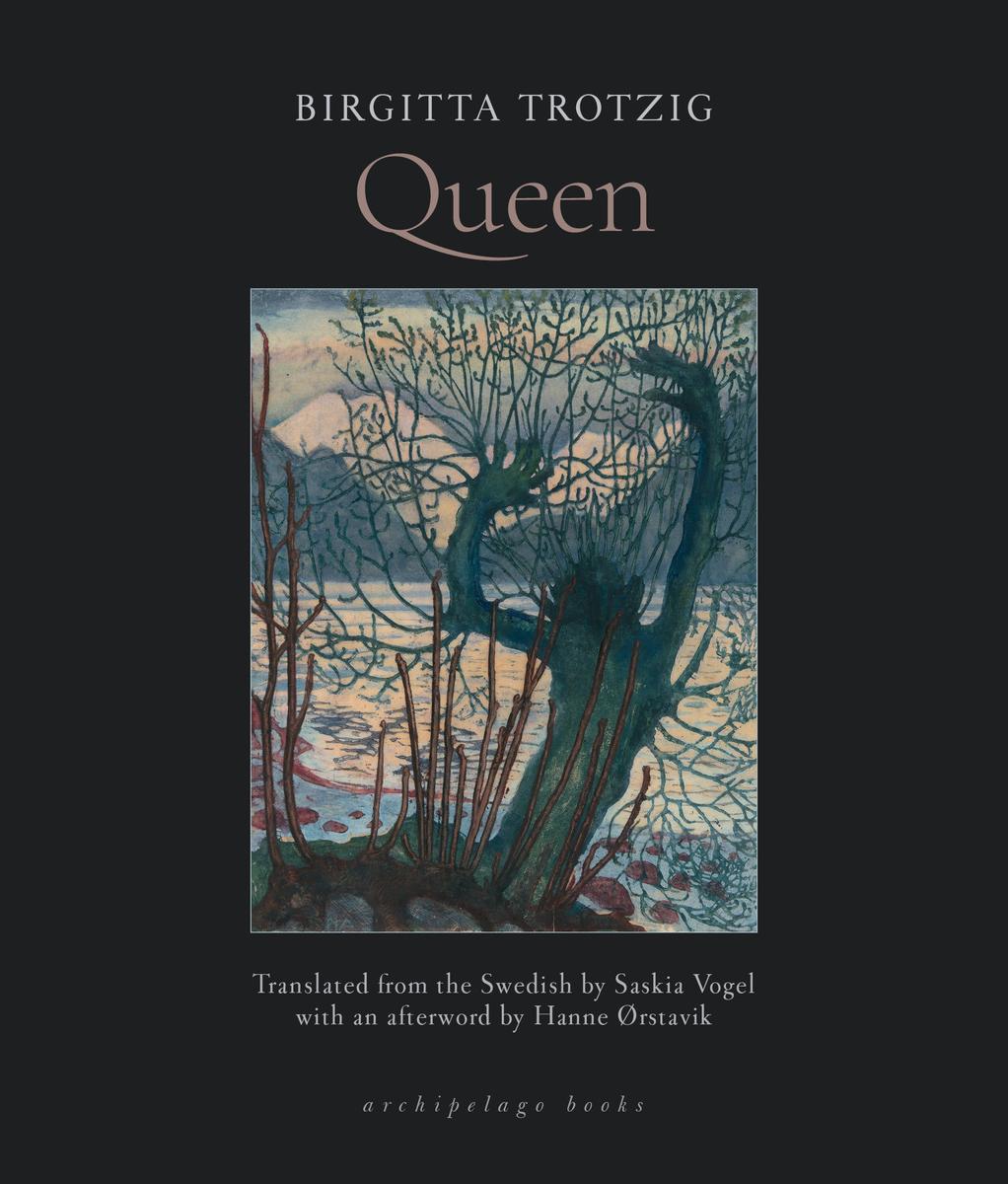 birgitta de vos アートブック　珍書 Queen by Birgitta Trotzig | Books Are Magic