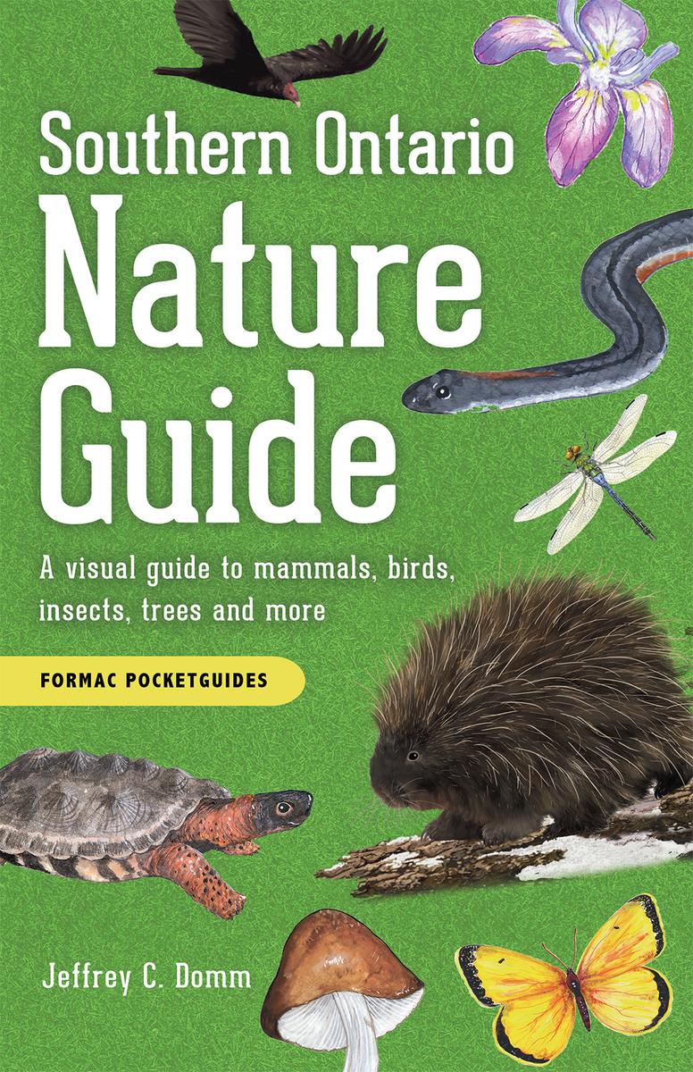 Southern Ontario Nature Guide by Jeffrey C Domm | Magic Pebble Books
