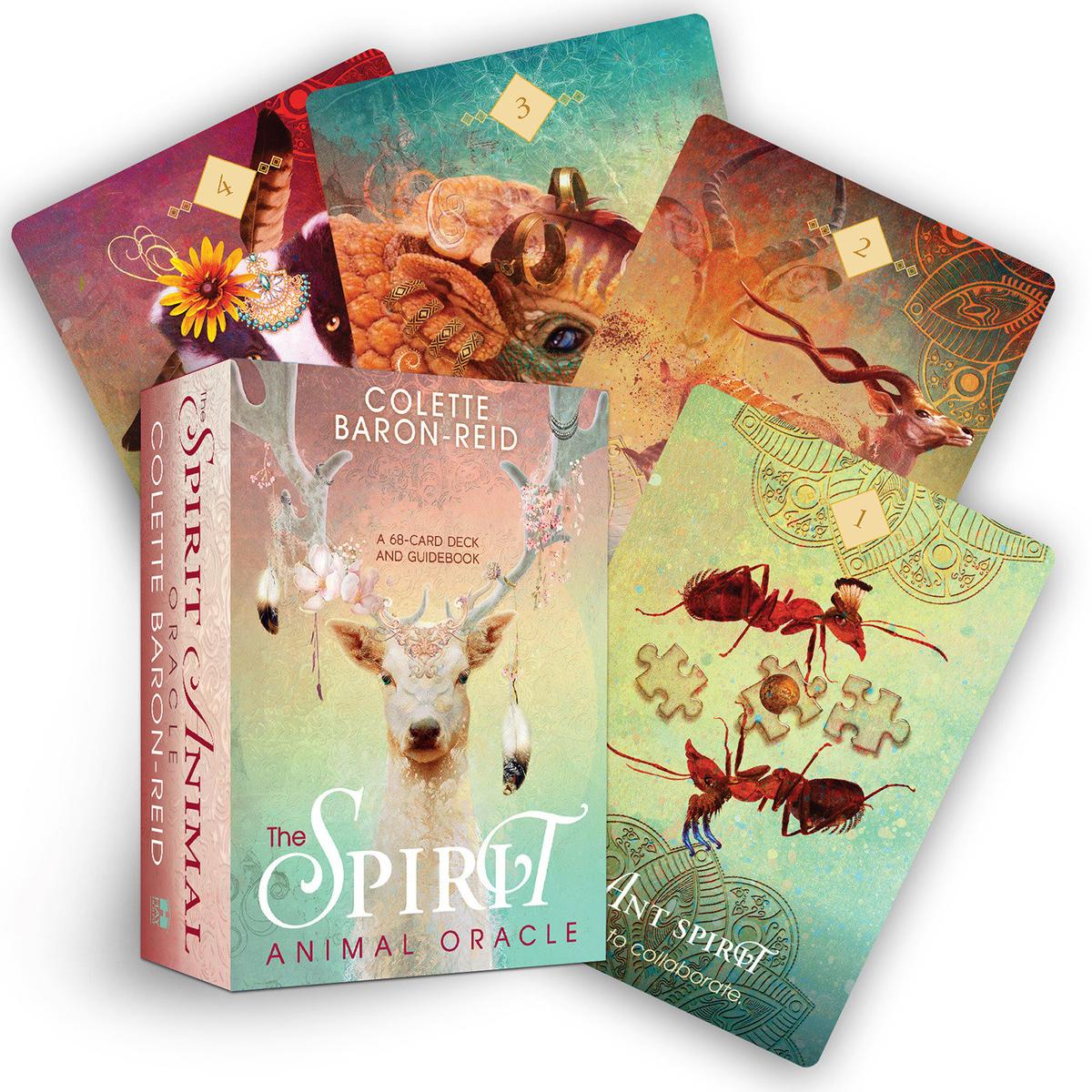 The Spirit Animal Oracle by Colette Baron-Reid | Books & Company