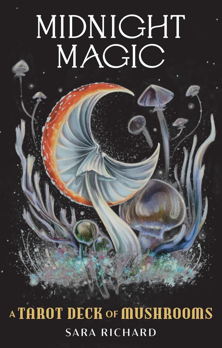 Midnight Magic by Sara Richard | Zenith Bookstore