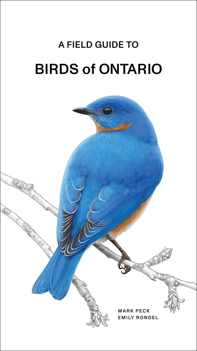 A Field Guide to Birds of Ontario by Mark Peck | Take Cover Books