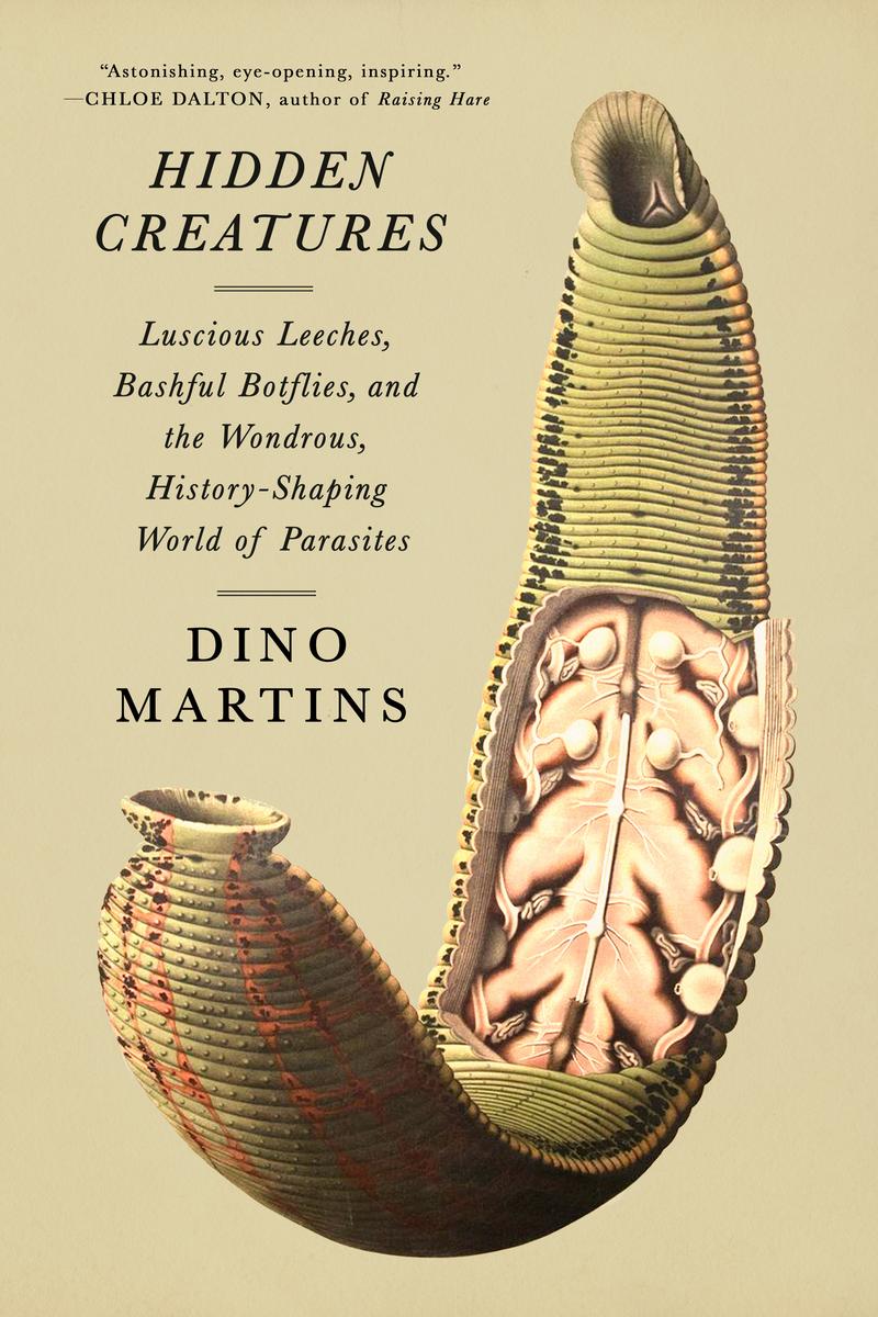 Hidden Creatures by Dino Martins | Author's Note