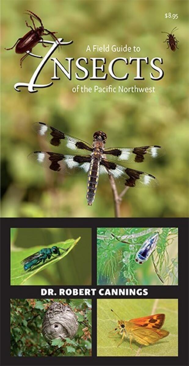 A Field Guide to Insects of the Pacific Northwest by Dr Robert Cannings ...